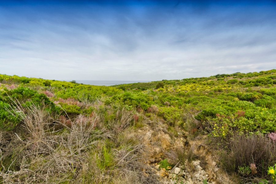  Bedroom Property for Sale in Pezula Private Estate Western Cape